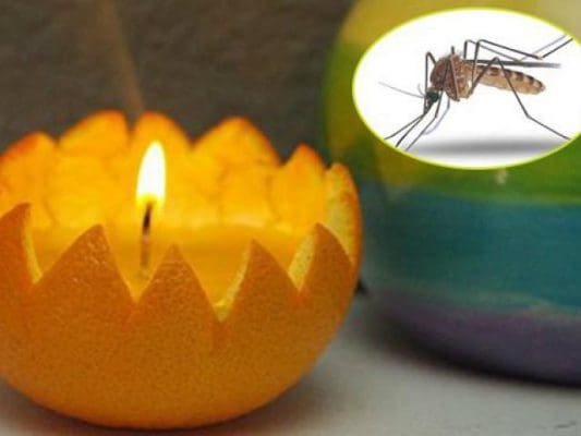 Cách diệt muỗi bằng vỏ cam